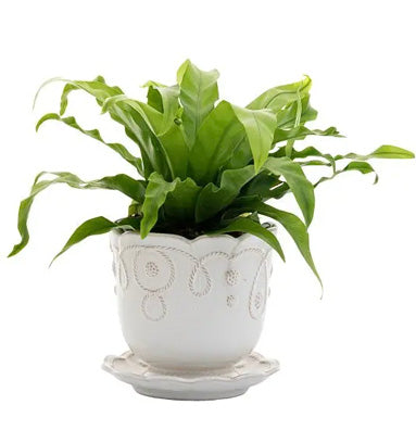Jardins du Monde Planter