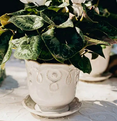 Jardins du Monde Planter