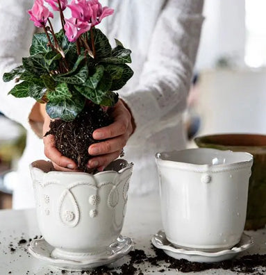 Jardins du Monde Planter