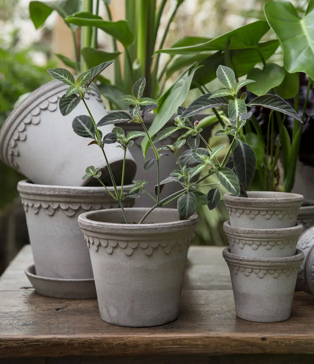Kobenhavner Pot