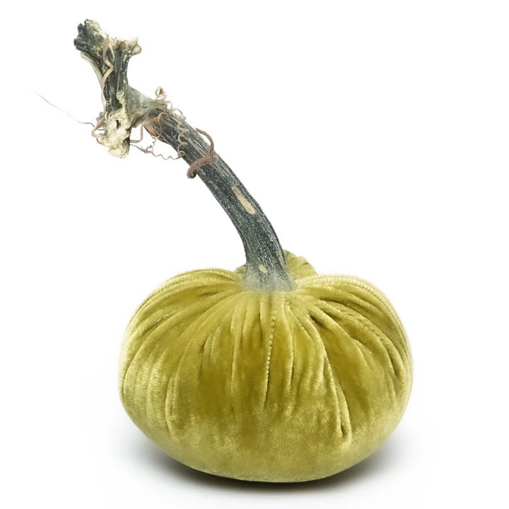 Silk Velvet Pumpkins