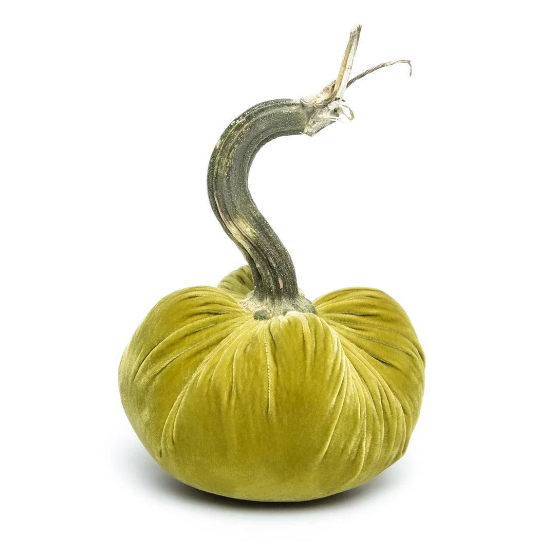 Silk Velvet Pumpkins