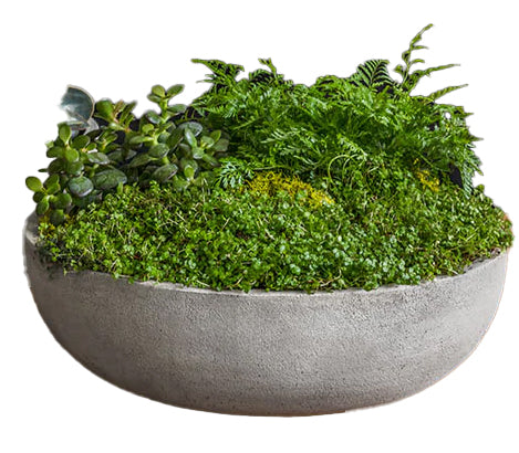 Terrace Bowl