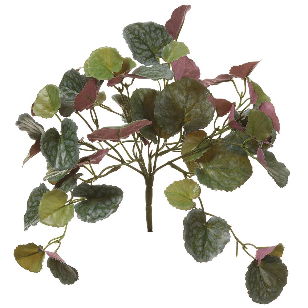 German Ivy Pick