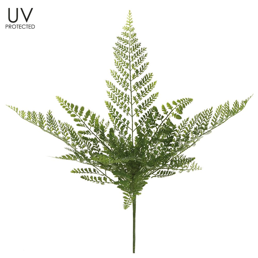 Fern Spray-UV Protected