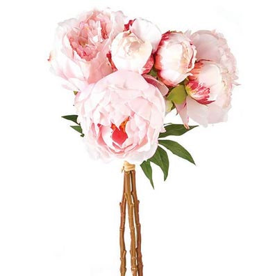 Peony Bundle