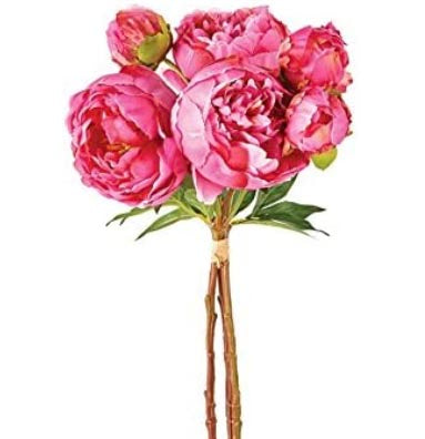 Peony Bundle