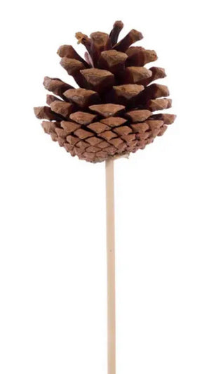 Natural Pine Cone Pick