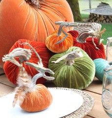 Silk Velvet Pumpkins