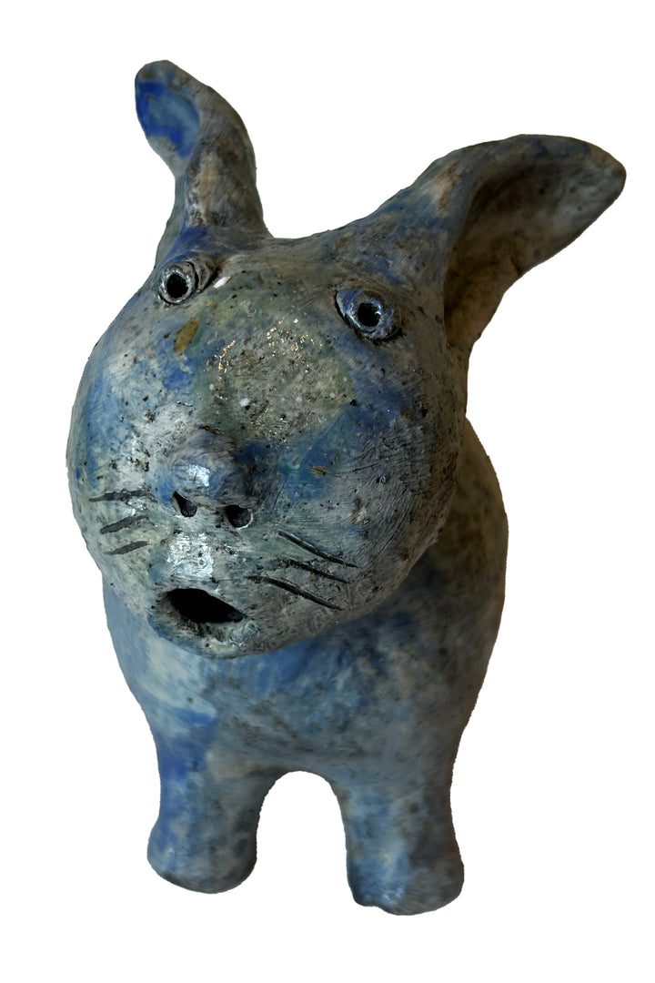 Arjan Deng - "Surprised Cat"
