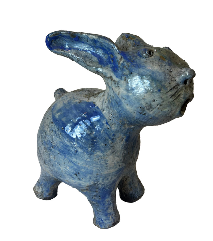 Arjan Deng - "Surprised Cat"