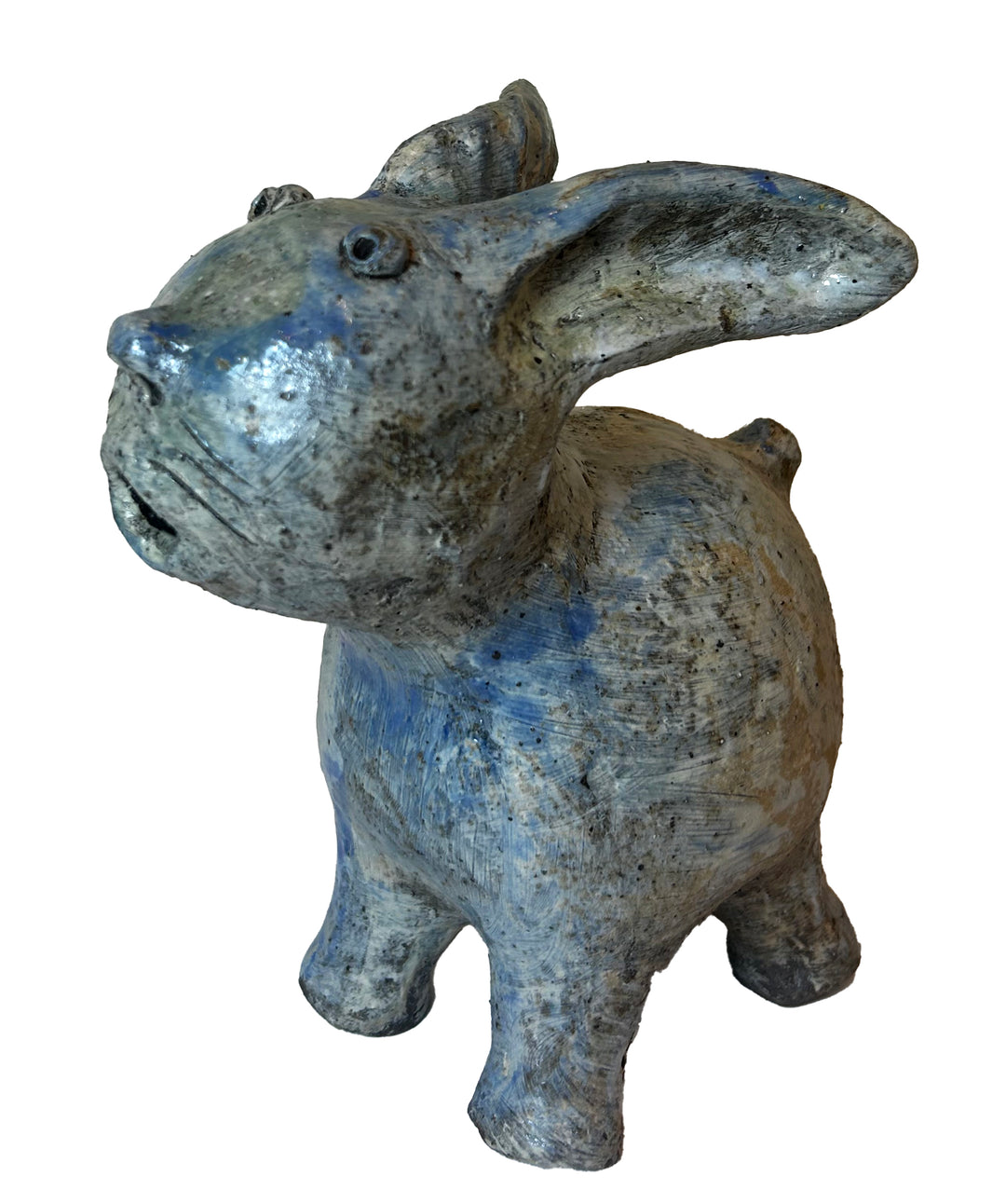 Arjan Deng - "Surprised Cat"