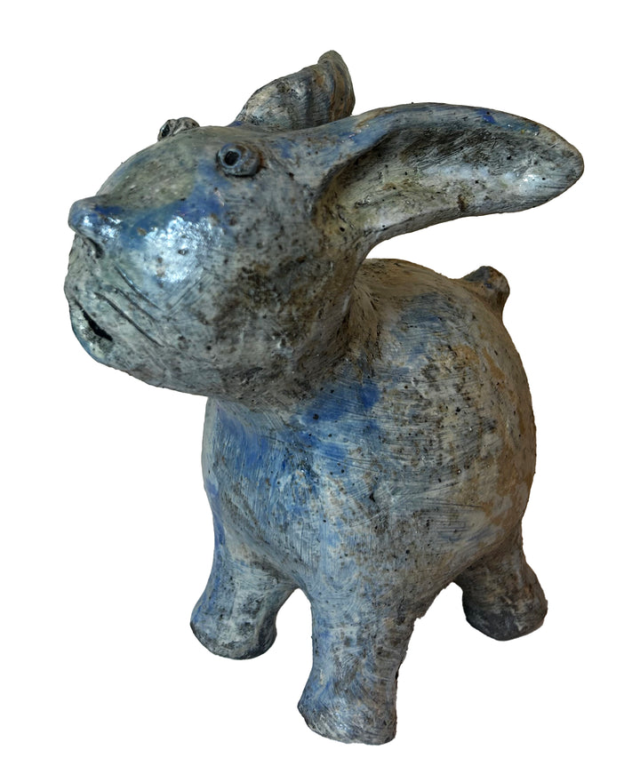 Arjan Deng - "Surprised Cat"