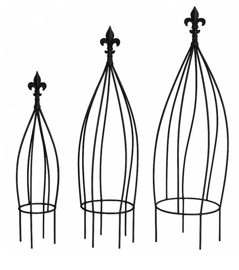 Wrought Iron Obelisk Topiary