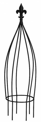 Wrought Iron Obelisk Topiary