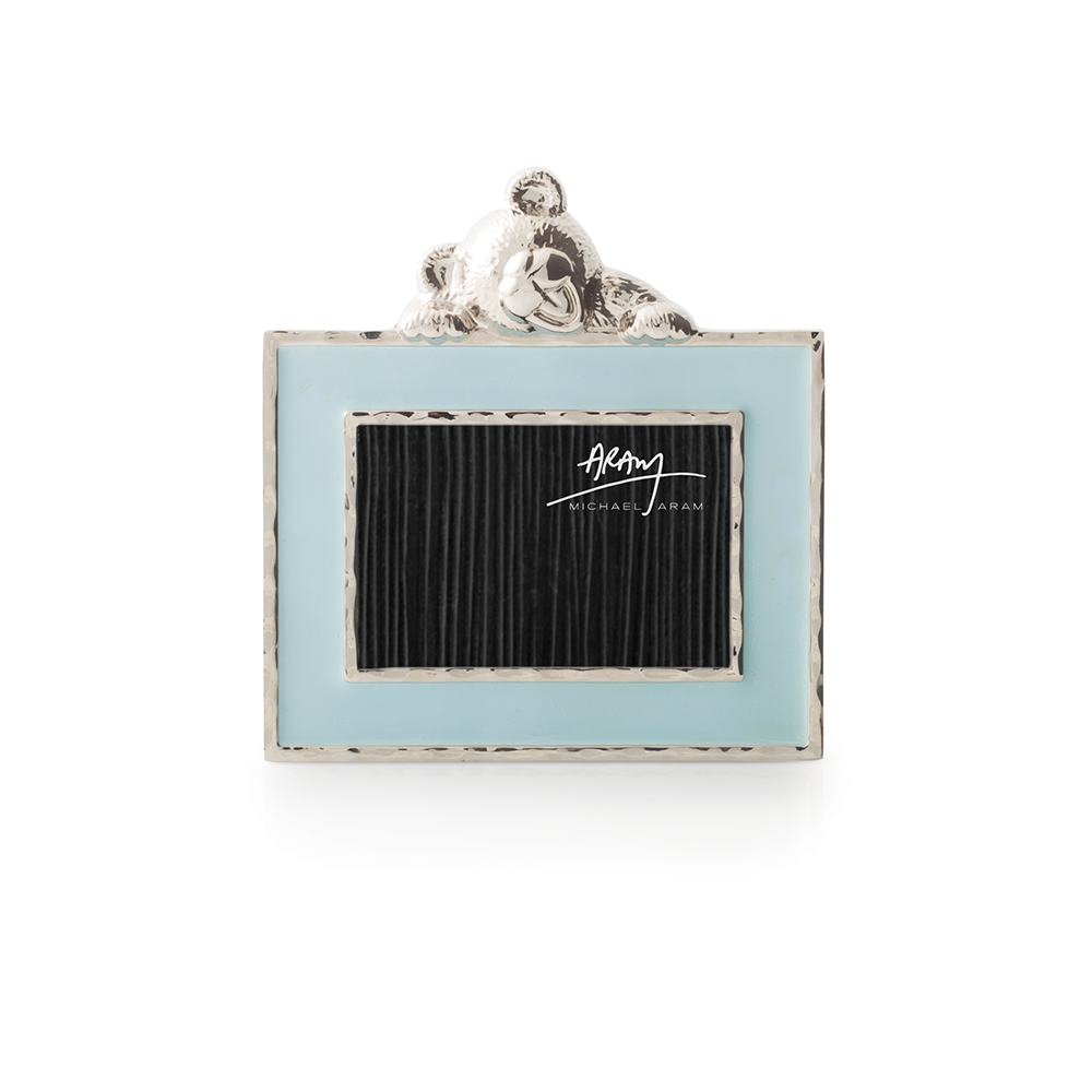 Teddy Frame