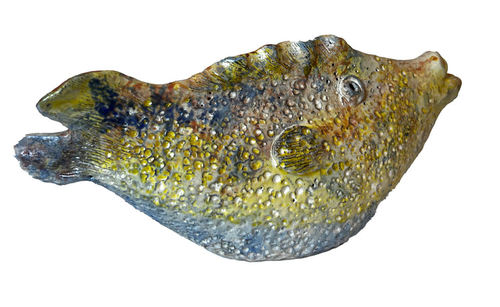 Arjan Deng - "Tropical Fish!"