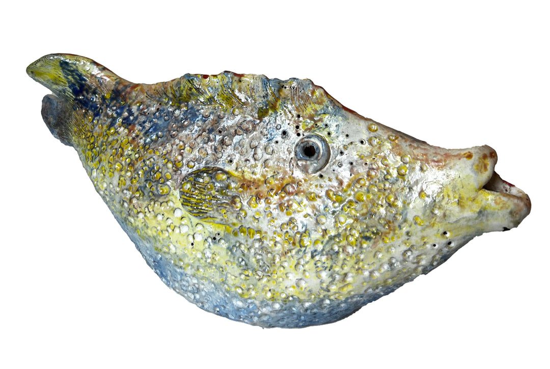 Arjan Deng - "Tropical Fish!"