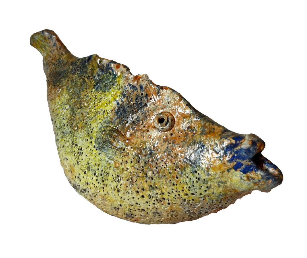 Arjan Deng - "Tropical Fish!"