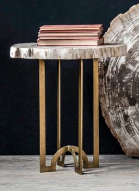 Petrified Wood Occasional Table