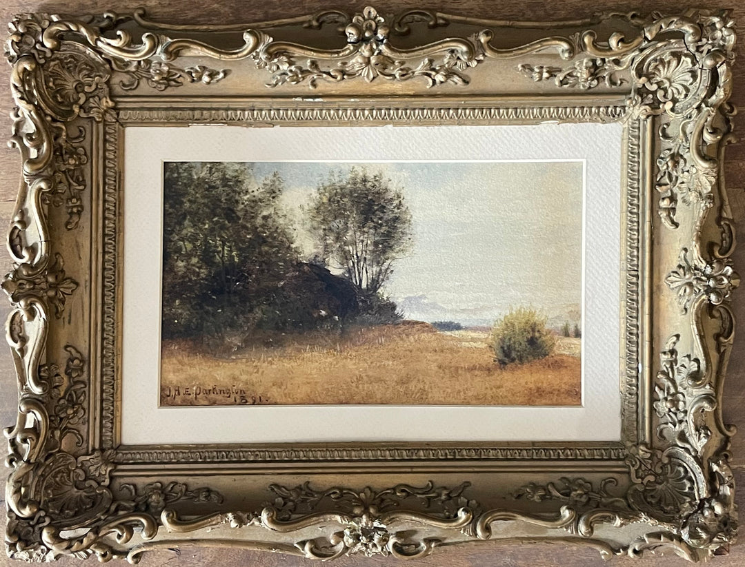 Edge of Field