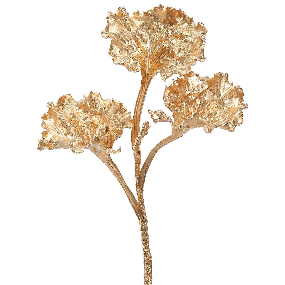 Golden Kale Spray