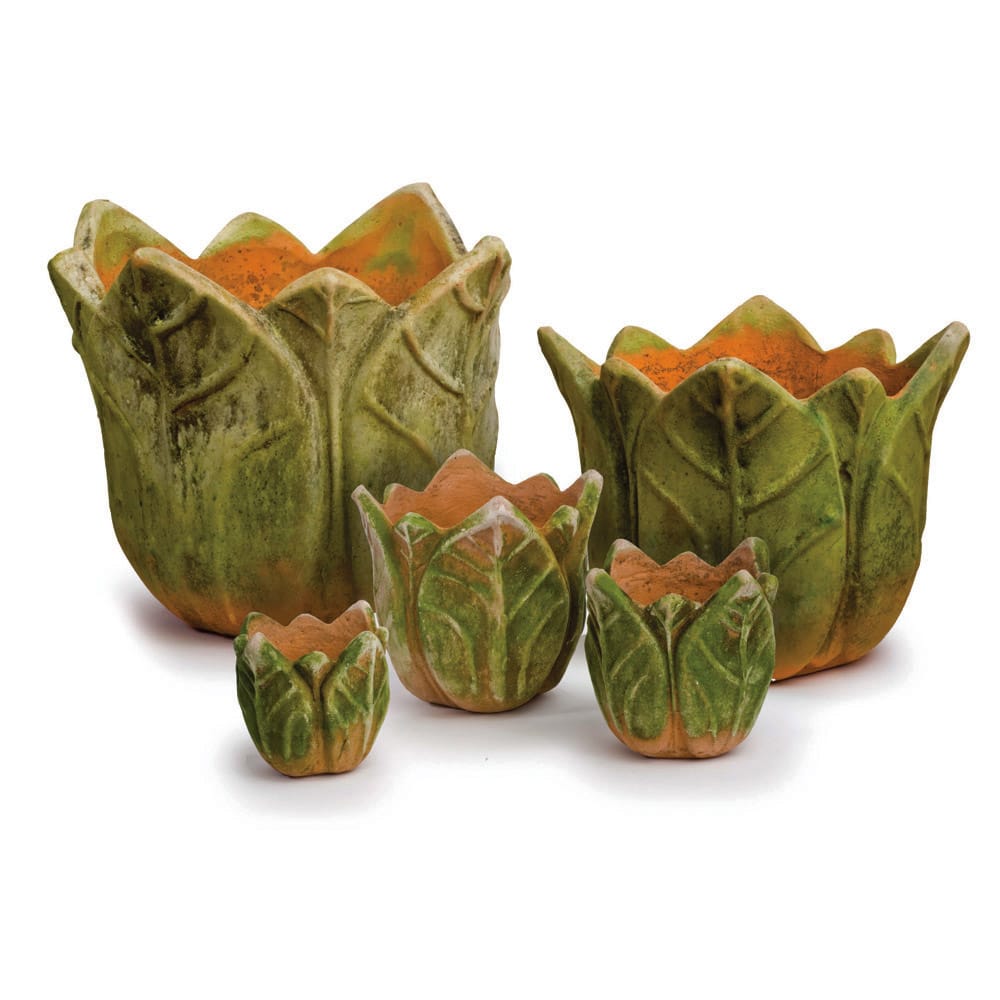 succulent planter with saucer Aged Clematis Planter with Saucer – Patina Polished Living
