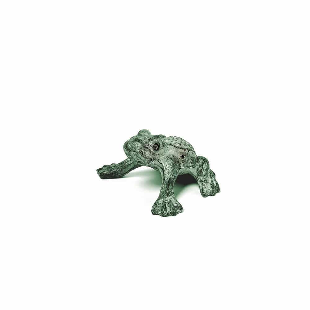 Bronze Patona Frog