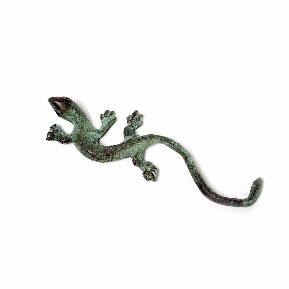 Bronze Salamander