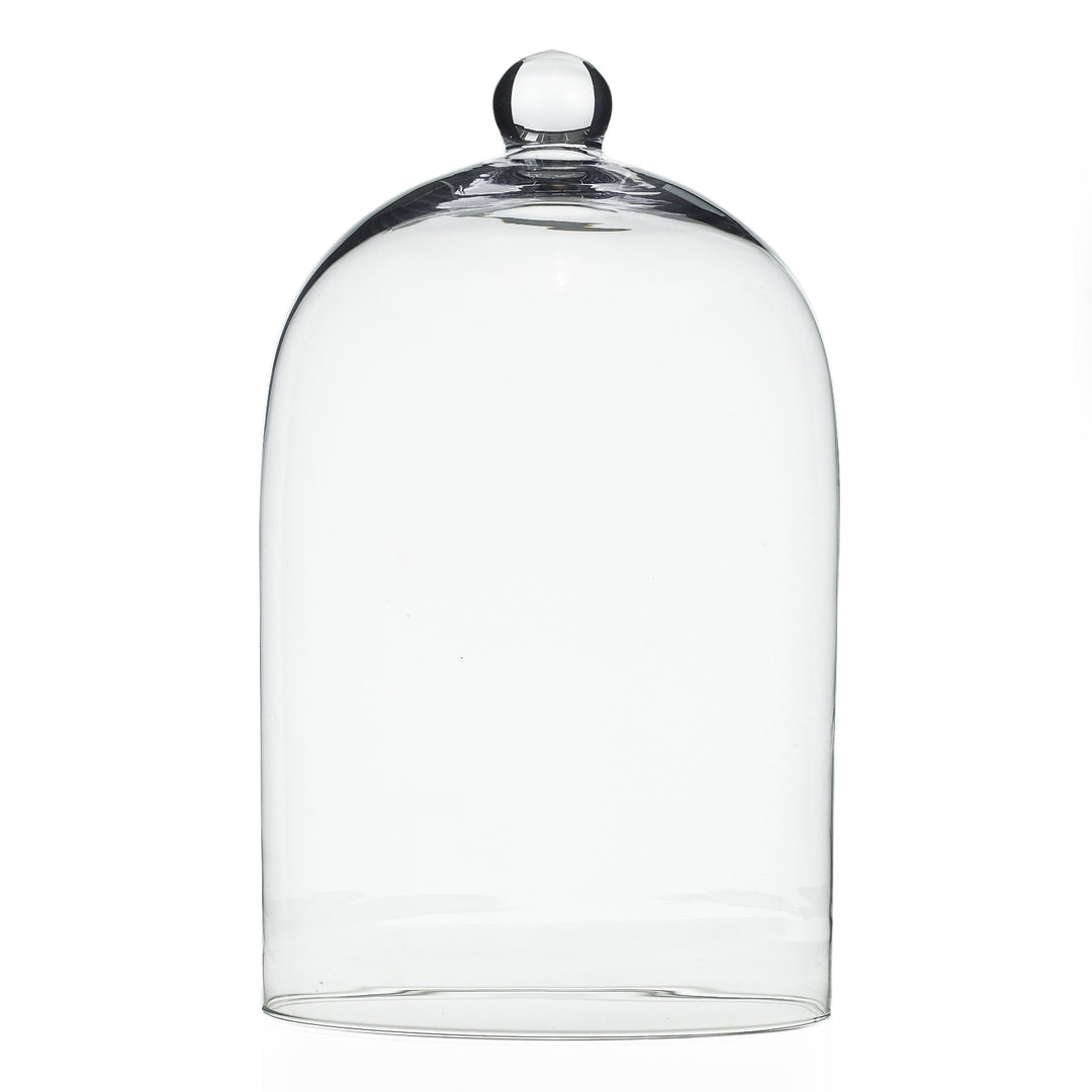 Glass Cloche 5x7