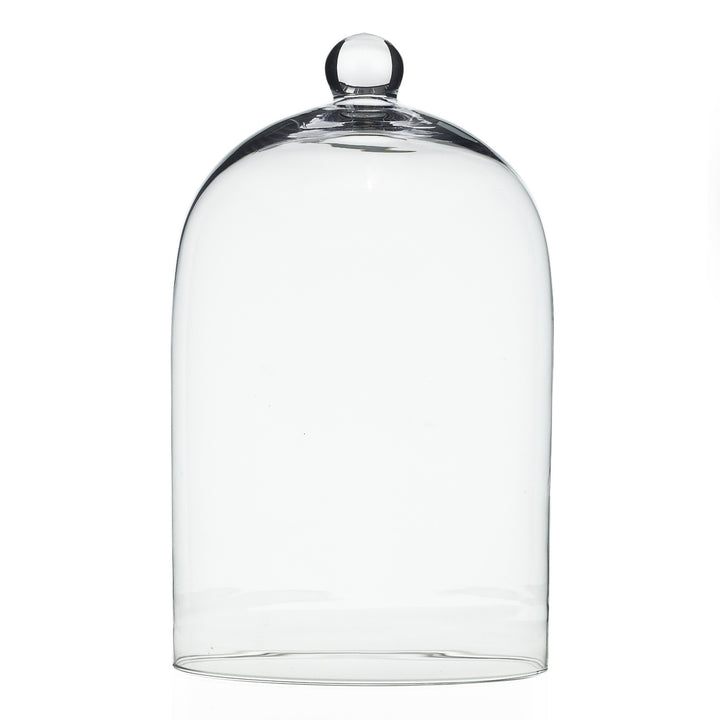 Glass Cloche 5x7