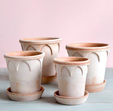 Elizabeth Pot