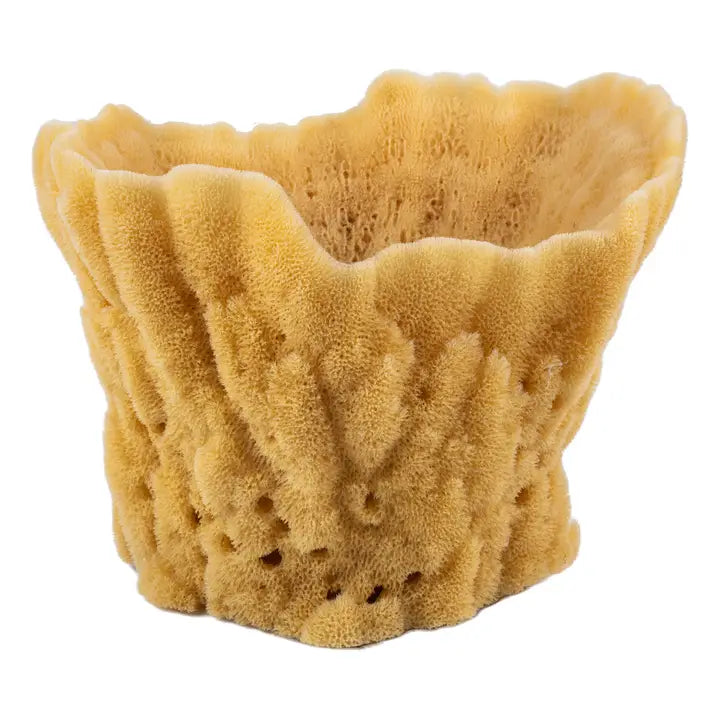 Extra Large Natural Sea Sponge