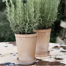 Helena Pot
