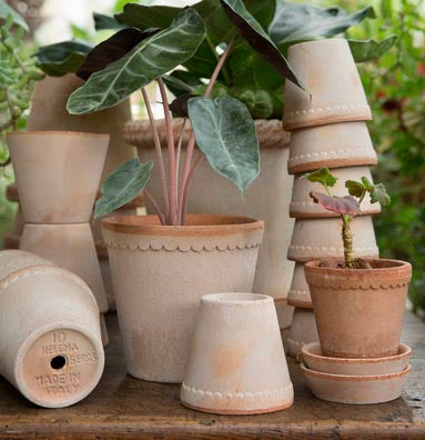 Helena Pot