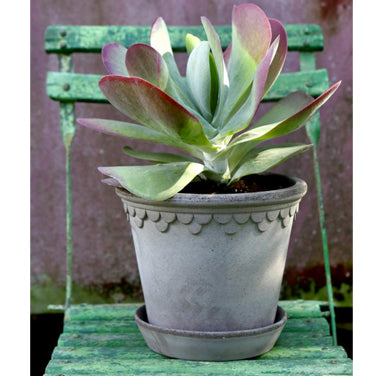 Kobenhavner Pot