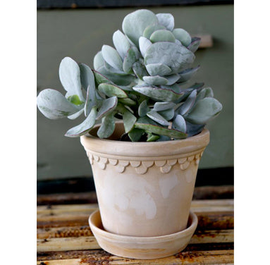 Kobenhavner Pot