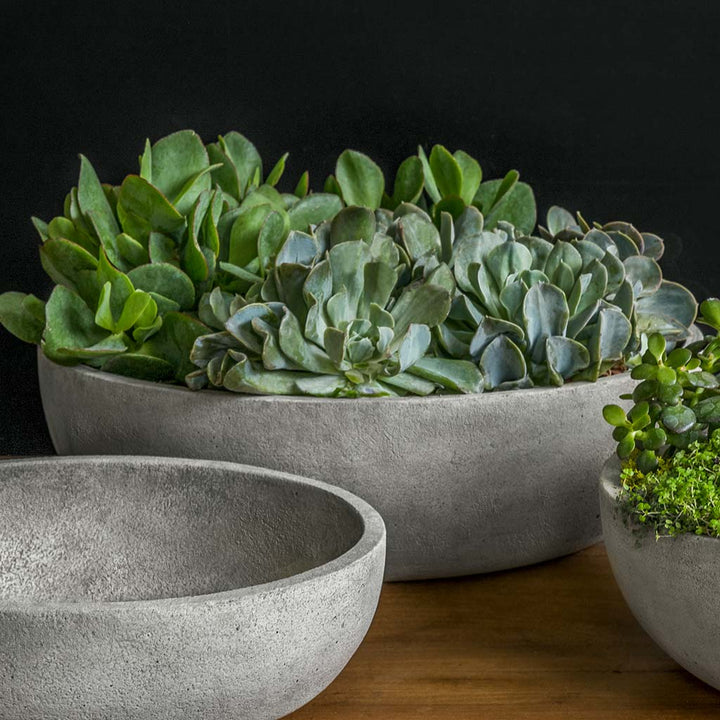 Terrace Bowl