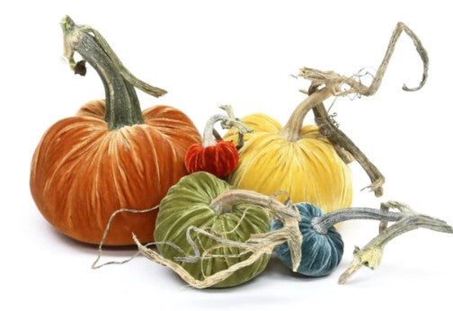 Silk Velvet Pumpkins