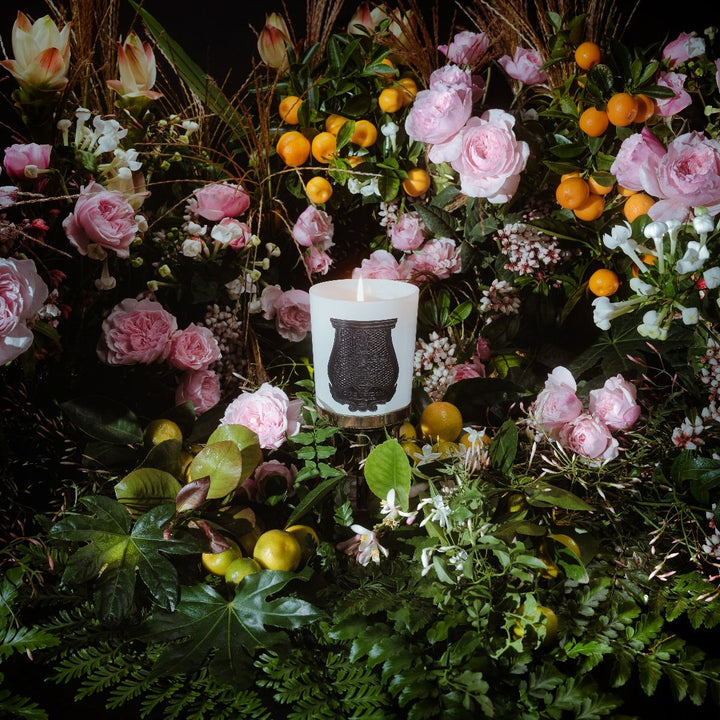 Cire Trudon Cameo, Individual