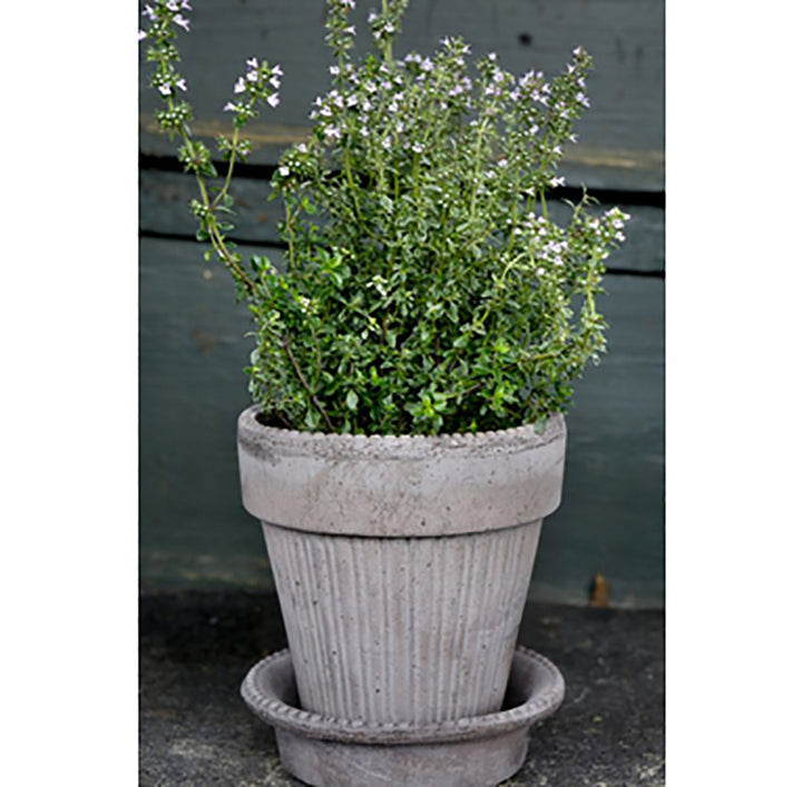 Simona Pot