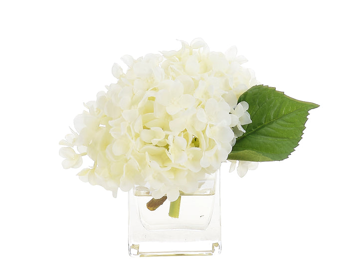 Hydrangea in Cube Vase