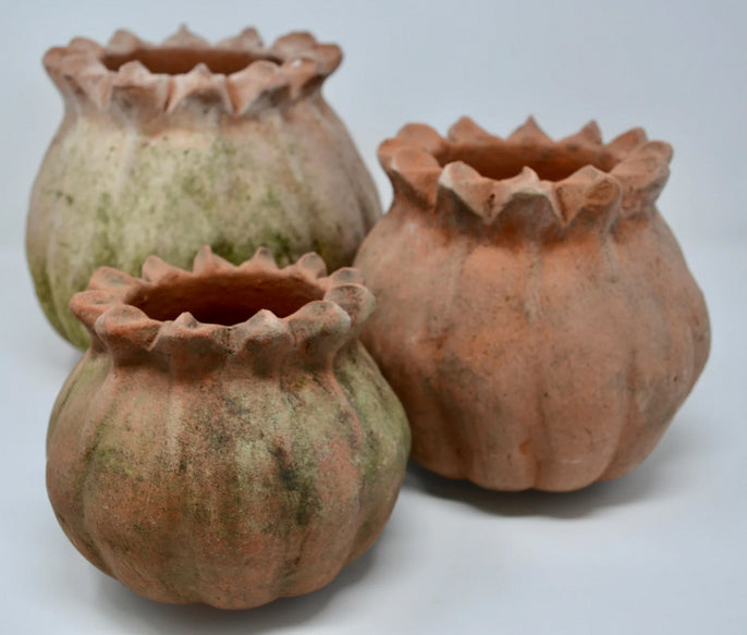 Aged Poppy Planter with Saucer