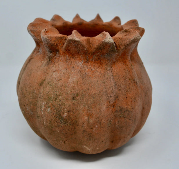 Aged Poppy Planter with Saucer