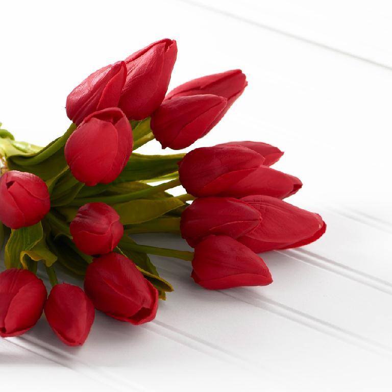 Real Touch Tulip Stem – Red | 10.5"