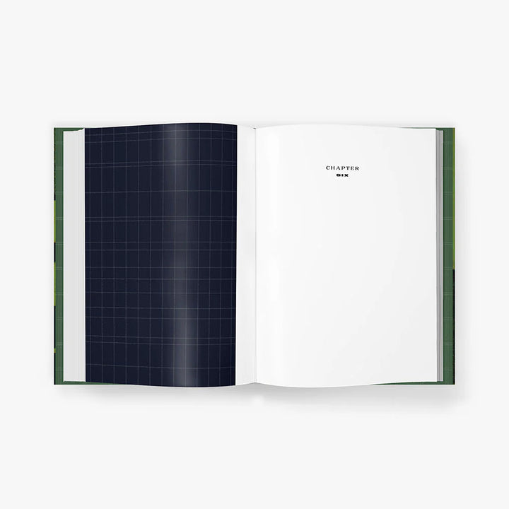 The Great Gatsby Art Novel™