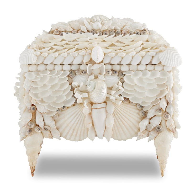 Shell Jewelry Box