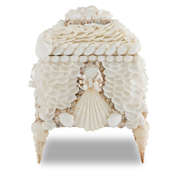 Shell Jewelry Box