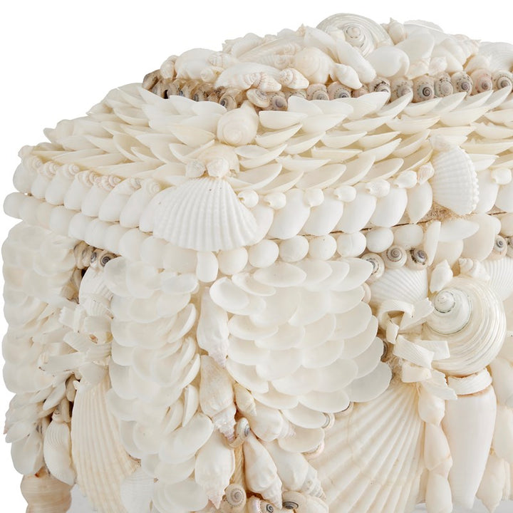 Shell Jewelry Box