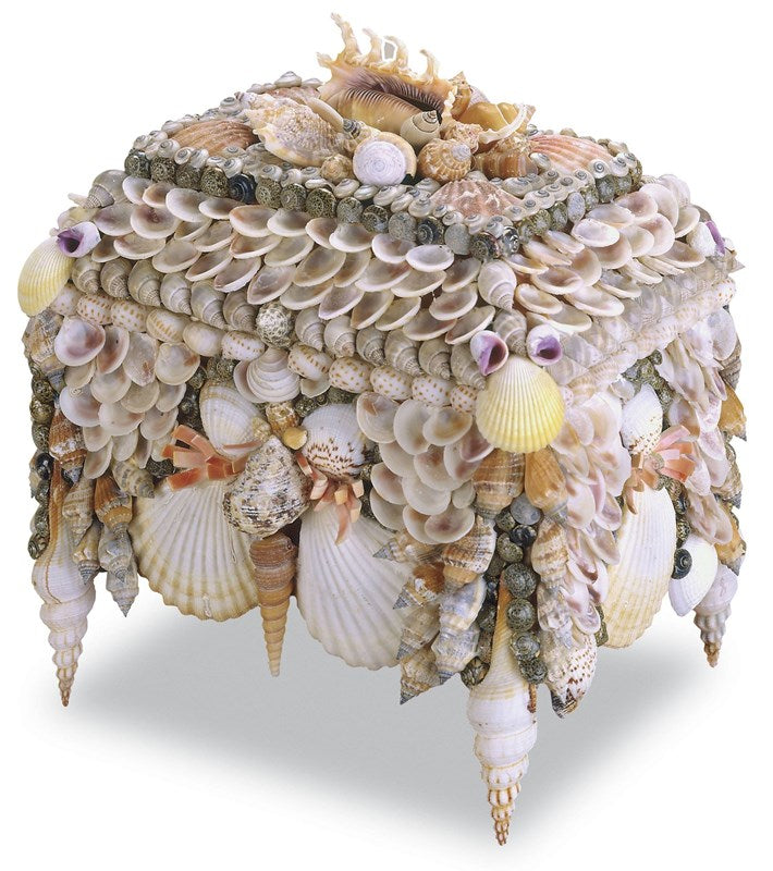 Shell Jewelry Box